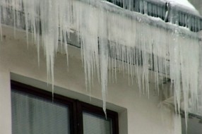 Pazite se ledenica