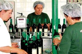 Nemaju da plate porez, otpuštaju 114 radnika?