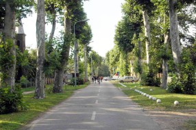 Radna akcija penzionera na Paliću
