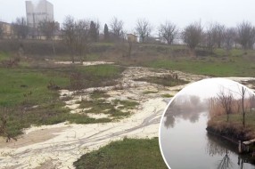 Jezeru u Bajmoku preti ekološka katastrofa?
