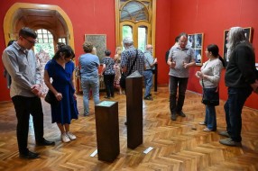 Stručno vođenje kroz izložbu "Prisustvo Pečuj"