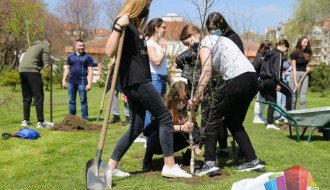 Dvorište OŠ "Sonja Marinković" bogatije za 20 sadnica