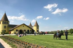 Egzotična okolina Subotice