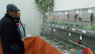 Udruženje odgajivača sitnih životinja tradicionalnom izložbom proslavilo jubilej