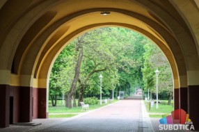 Od sledeće nedelje na Paliću počinje orezivanje i uklanjanje suvih stabala