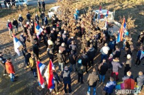 "Dobro jutro badnjače" -  održana tradicionalna seča badnjaka u Subotici