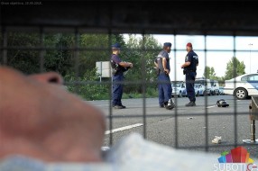 Strah na Horgošu: Polovina migranata misli da ih autobusi vraćaju u Siriju, ostali se plaše mina u Hrvatskoj