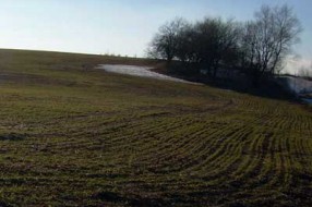 Licitacija zemlje – posle setve?!