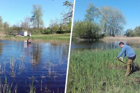 Zeleni Subotice: Nakon 15 godina jezero kod Bunarića ugledalo svetlost dana