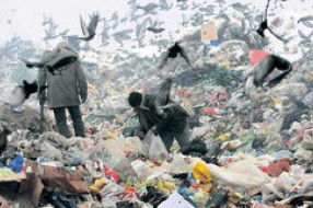 Dobitak sa đubrišta