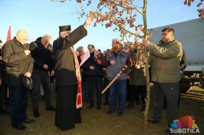 Održana tradicionalna seča badnjaka na Makovoj sedmici