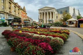 Sajam cveća - centralni Trg procvetao