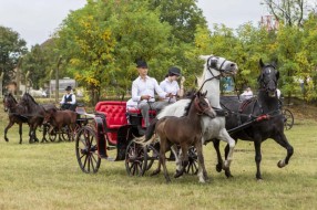 Novožednička fijakerijada slavi 20 godina tradicije