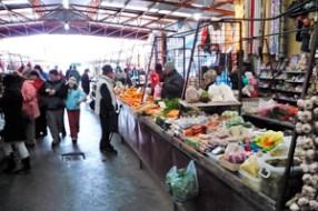 Šta je sudbina Buvljaka?