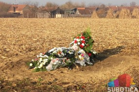 "Pogrebno" sahranjuje u - kukuruzištu!