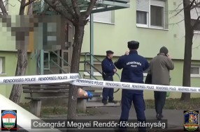 Momak iz Gunaroša ubio devojku iz Čantavira