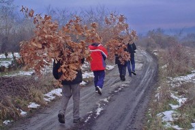 Doviđenja, badnjače... do sledeće godine!
