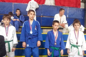 Medalje sa džudo Kupa "Novi Beograd 2013"