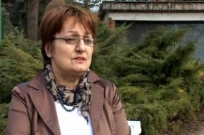 Licence za profesore