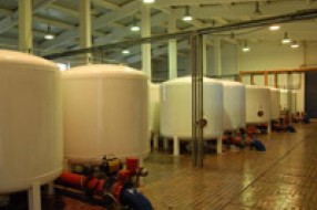 Lažni inkasanti u Subotici