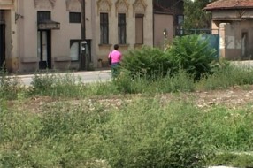 Da se zna ko kosi, a ko ne kosi