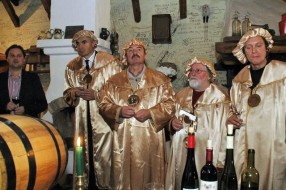 Evropski dan mladih vina na Majkinom salašu