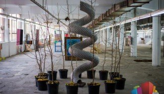 U "Solidu" se ponovo čuje zveckanje potpetica