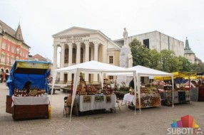 Počeli 19. Dani pčelarstva