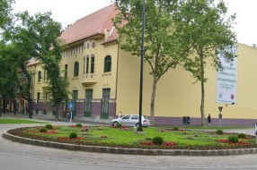 Letnji programi u Gradskom muzeju i Likovnom susretu