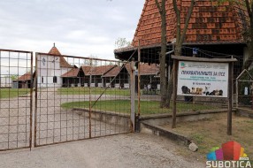Udomite psa iz Prihvatilišta