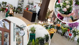 Cvećara "Studio Verde" – gde priroda govori zelenim jezikom