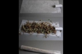 Nasmešene plave oči