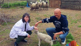 Ukrali im 124 ovce, pronašli lopove, a policija ne reguje