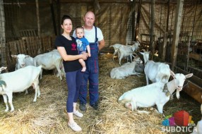Mala farma koza ponos porodice Torda iz Višnjevca: "Sve više ljudi kupuje kozje mleko, sir i surutku"