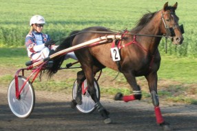 Monika Kečenović broji uspehe u konjičkom sportu