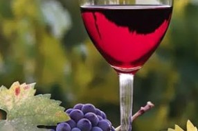 Dan mladog vina sutra na Paliću