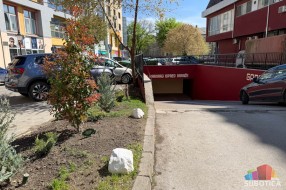 Nastavljeno ulepšavanje Subotice - oživljen prostor kod hotela Patria