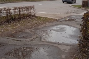 Nebezbedno drvo jablana preko puta vrtića "Sanda Marjanović" na Prozivki