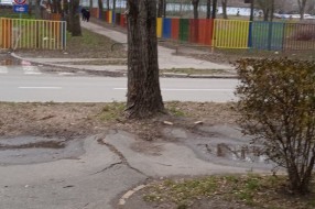 Nebezbedno drvo jablana preko puta vrtića "Sanda Marjanović" na Prozivki