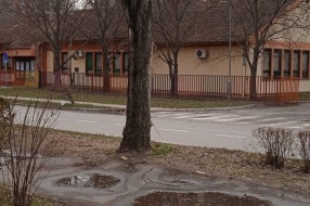 Nebezbedno drvo jablana preko puta vrtića "Sanda Marjanović" na Prozivki