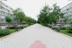 Predlog: Policajac na Radijalcu (24h)