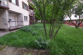 Košenje trave na javnoj površini u trouglu ulica Miloša Crnjanskog, Save Kovačevića i Hrastovoj