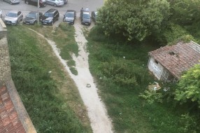 Ambrozija u centru grada (površina između Ulice Vuka Karadžića i "plavog" pasaža)