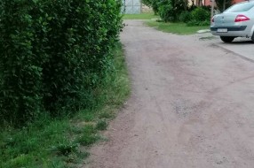 Pola puta zaraslo u grmlje (Ulica Milovana Glišića)