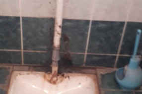 Održavanje Senćanskog groblja (staze, toalet)
