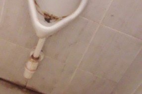 Održavanje Senćanskog groblja (staze, toalet)