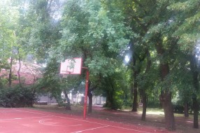 Koš u Dudovoj šumi