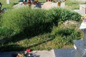 Zapušteno Pravoslavno groblje u Dudovoj šumi
