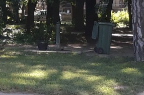 Zloupotreba javne česme u Zelengorskoj ulici na Paliću