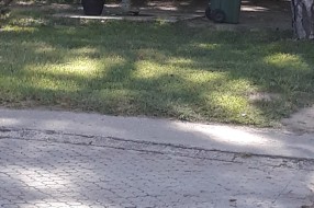 Zloupotreba javne česme u Zelengorskoj ulici na Paliću
